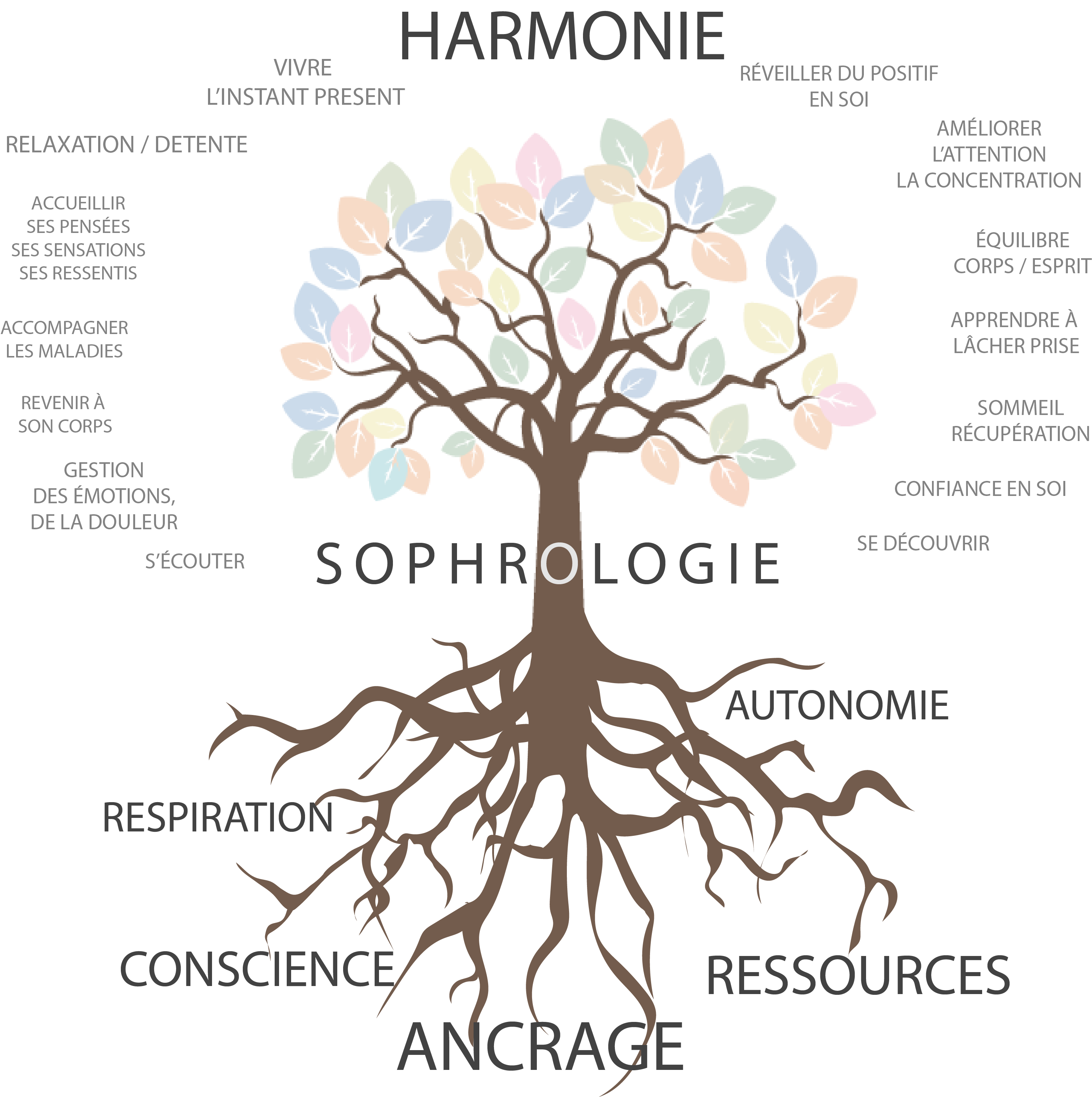 arbre-de-sophro